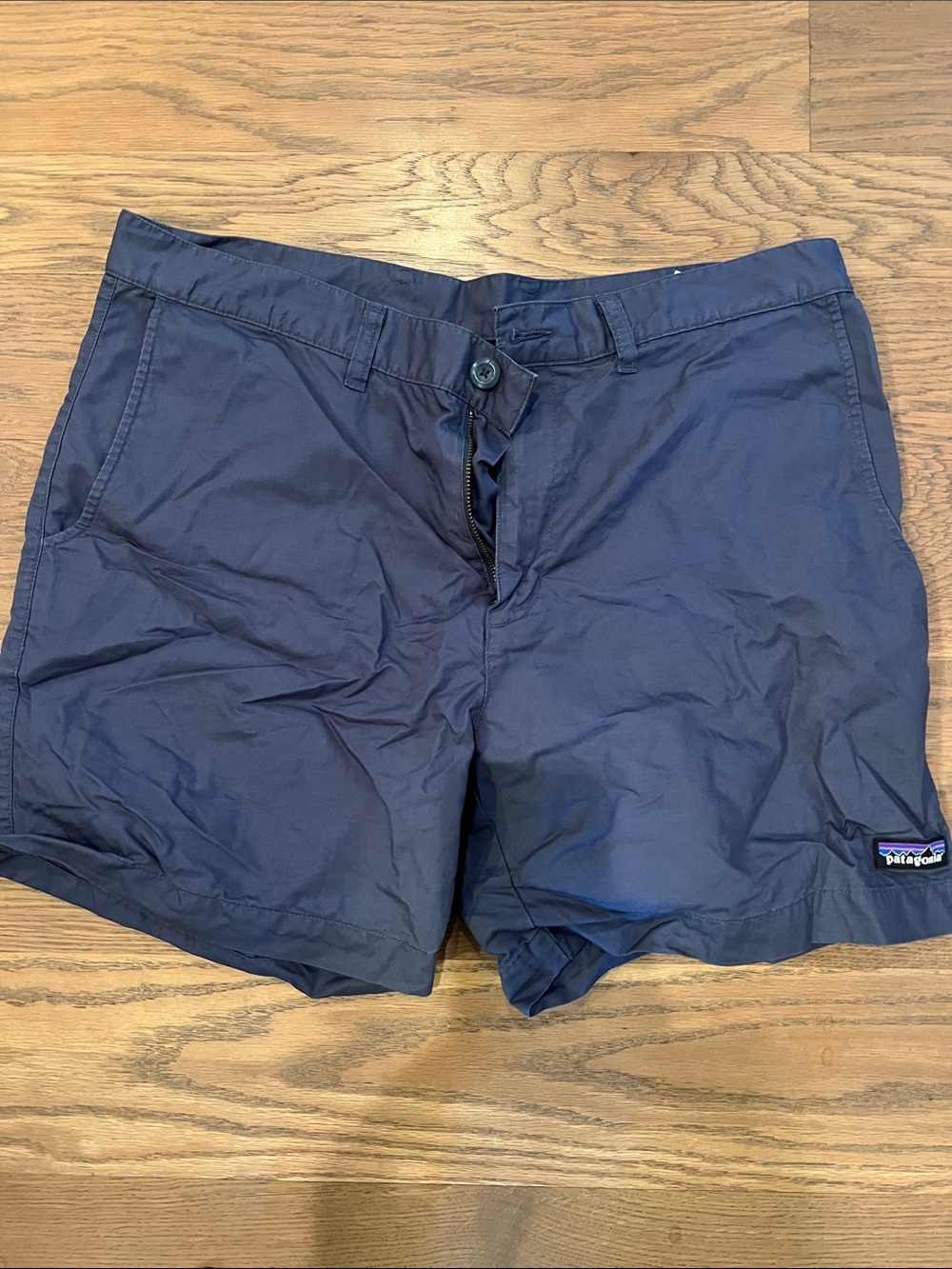 Patagonia Navy Blue Men's Shorts